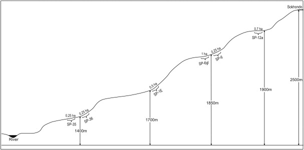 Diagram of the locations selected for the research sample plots on an ...