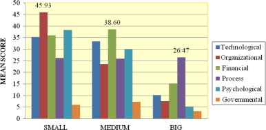 Summary of the distribution of mean scores showing the degree of digital ...