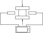 Wang et al 2021c 4208 Fig2.png