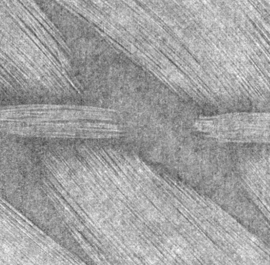 Delgado et al 2021a-image13-c.jpg