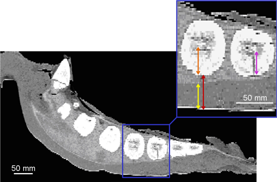 Figure 4.