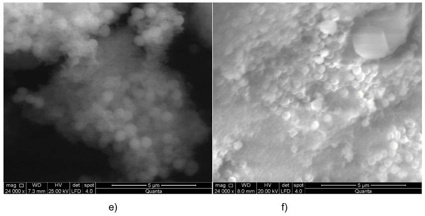 Captura de pantalla 2022-10-24 181242.png