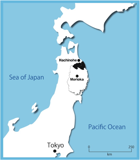 Study area. Black zone indicates the northern part of Iwate prefecture.