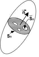 Draft Vieira 908925676-image1.png