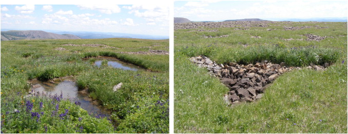 Drying of small moraine lakes in the subalpine and alpine belts (more ...