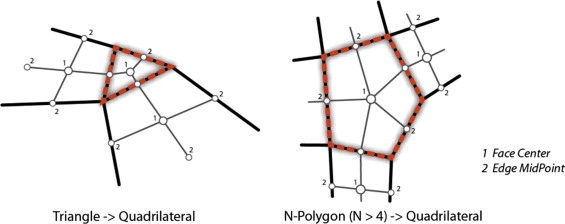Quad meshing by face center and edge midpoint insertion. (left) quadrangulate a ...