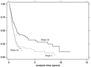 Kaplan–Meier analysis of overall survival by stage.