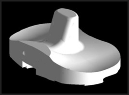 The conventional insert of the Genesis II.