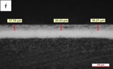 Review 950121520459 5301 Figura 2f.jpg