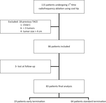 Flowchart of patient distribution. TACE = transarterial chemoembolization.