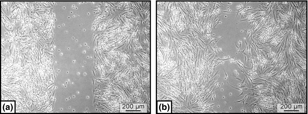 Figure 5.