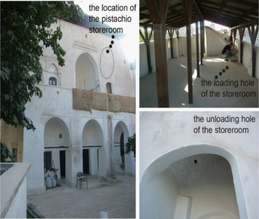 Fig. 10