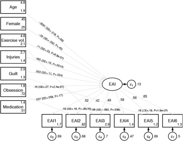 Structural equation model of the EAI-scale and descriptive variables.