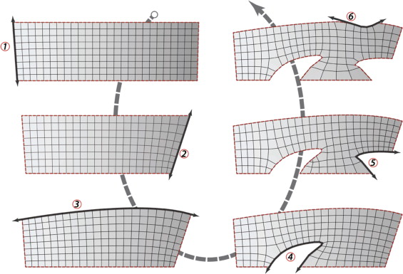 Variations of BDMesh results ranging from single to multiple boundary ...
