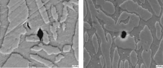 Typical SEM images of corroded specimen.