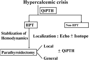 Flowchart of recommended management of hyperparathyroid crisis.