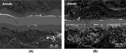 Figure 13.