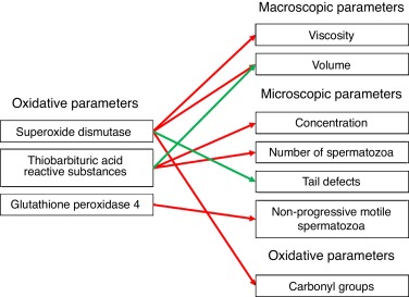 Correlations observed during this study. Red arrows correspond to negative ...