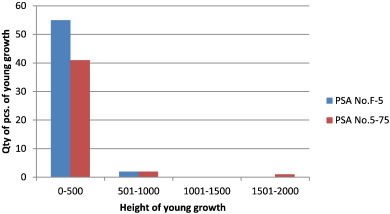 Distribution of the height of Japanese yew young growth in two permanent study ...