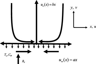 Physical model of the problem.