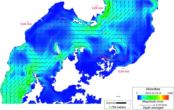 Simulación y valores de medidos de velocidades en el embalse, periodo de ...