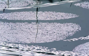 Ultrera et al 2017a-image5.png