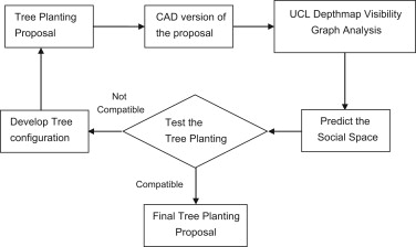 A developed process of planting design of an urban park.