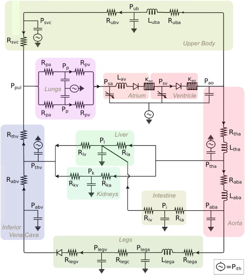 Closed-loop lumped-parameter network (LPN) of Fontan circulation. Rsubscript, ...