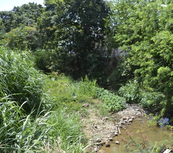 Draft Silva Araya 402876172-image27-c.jpeg