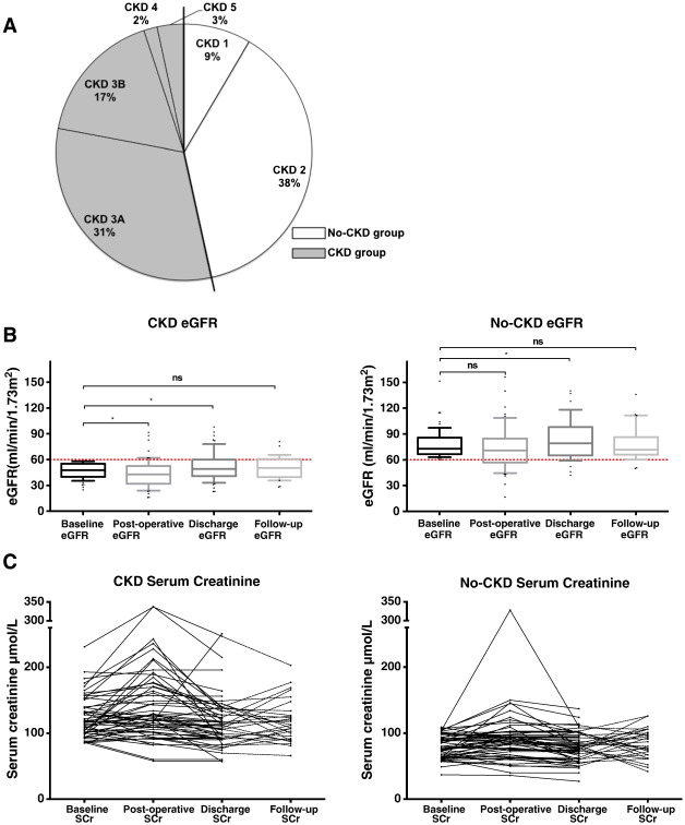 The effect of TAVI on renal function. (A) Relative distribution of chronic ...