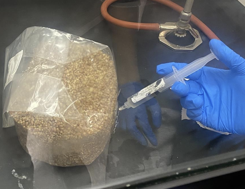 Draft Voelker 516016153 2366 Figure 1.png