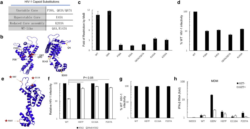 Full-size image (70 K)