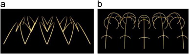 (a) Arch shaping the strata; (b) Arch shaping the membrane.