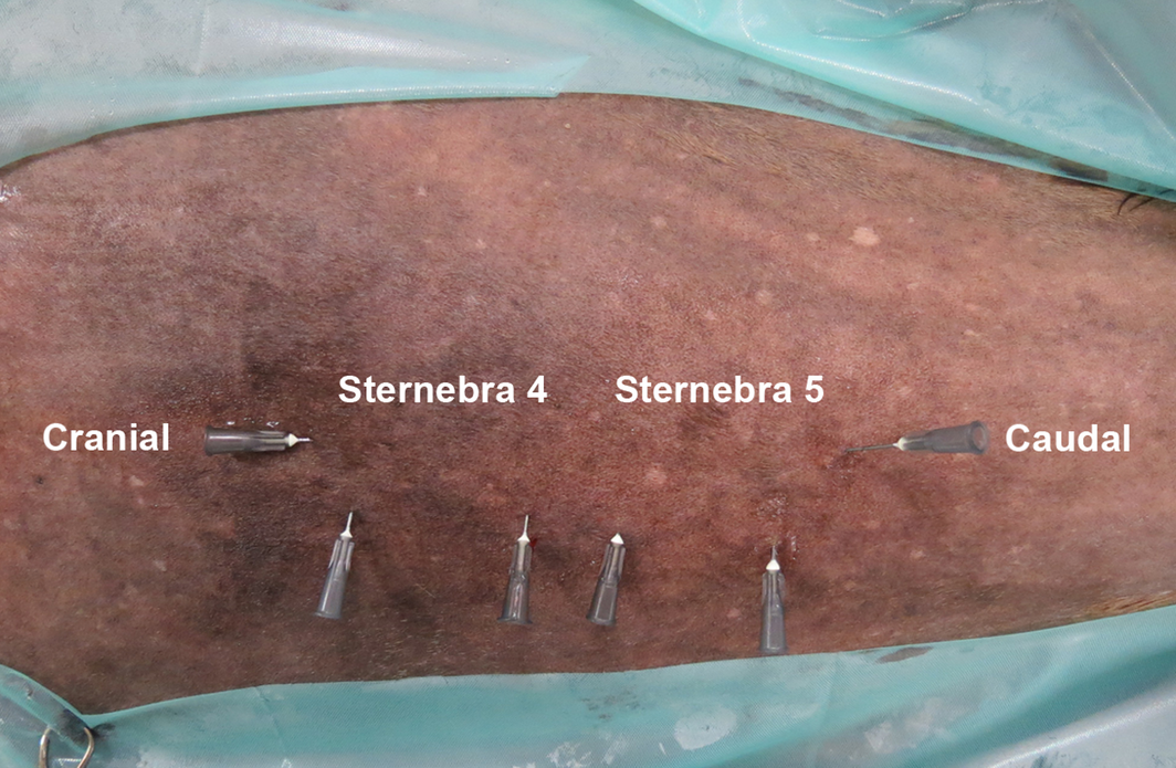 Figure 2.