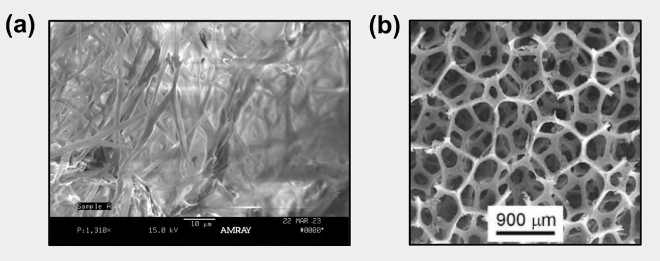 Draft Voelker 516016153 9649 fig10.png