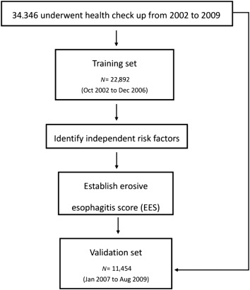 Study flow chart. EES = erosive esophagitis score.