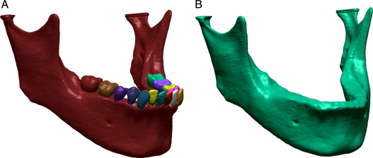 Modelo não paramétrico do osso e dentes. A: mandíbula com dentes, B=mandíbula ...