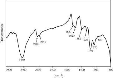FTIR spectrum of the as-received black paint.