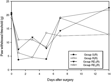 Mechanical pain threshold of four groups. Ipsilateral paw response to von Frey ...