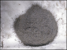 Draft Porcar 868551094-image12.png