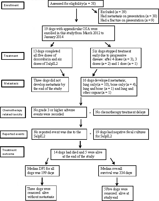 Figure 1.