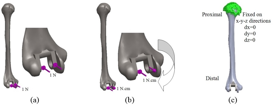 Review 392361619556 2082 16.jpg