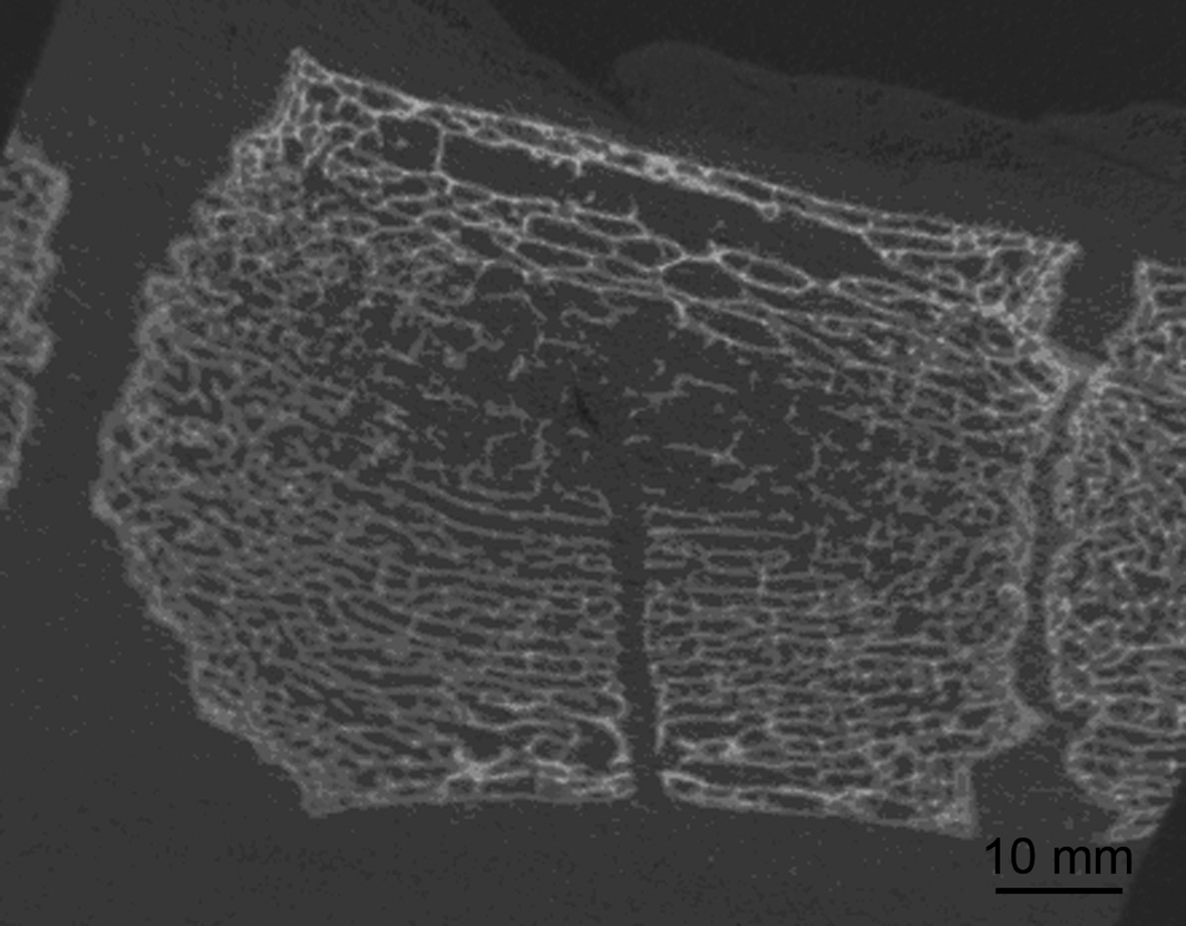 Figure 3.