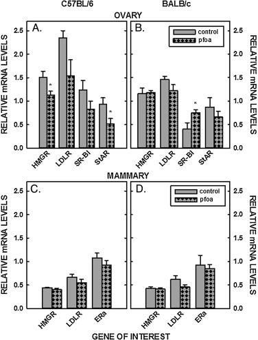 Relative mRNA levels of genes involved in sterol metabolism of mammary tissues ...