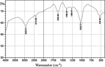 FTIR spectrum of the prepared PMA.