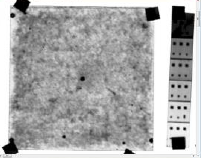 Draft Porcar 228219270-image12-c.png