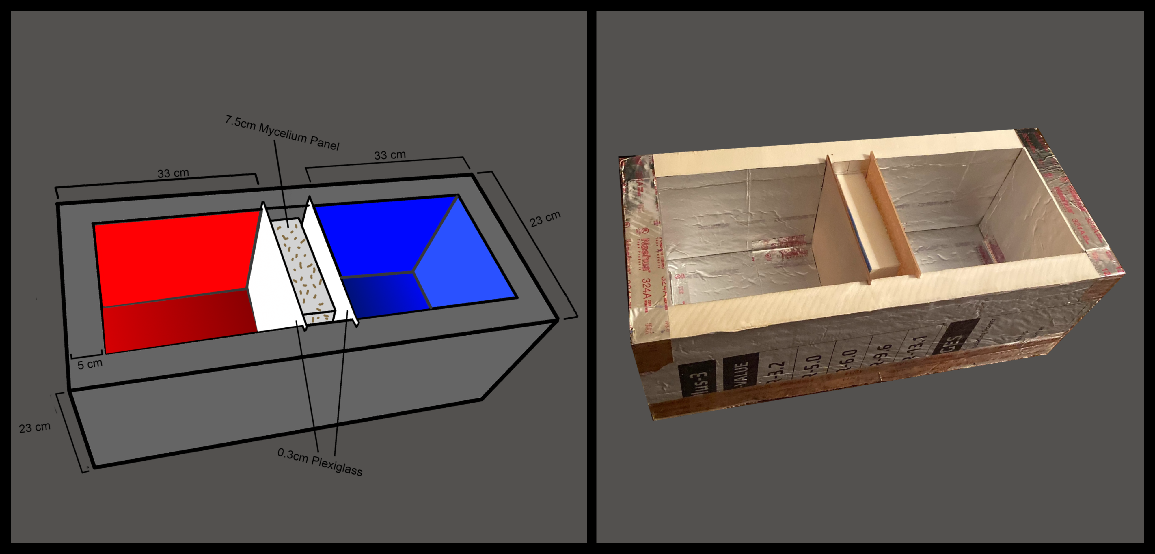 Review 531681295717 7616 thermal.png