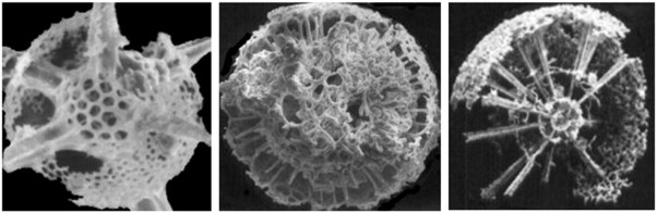 Any illustration of the fractal system of virtual shells of elementary particles ...