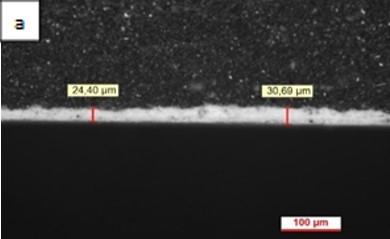 Review 950121520459 7885 Figura 2a.jpg