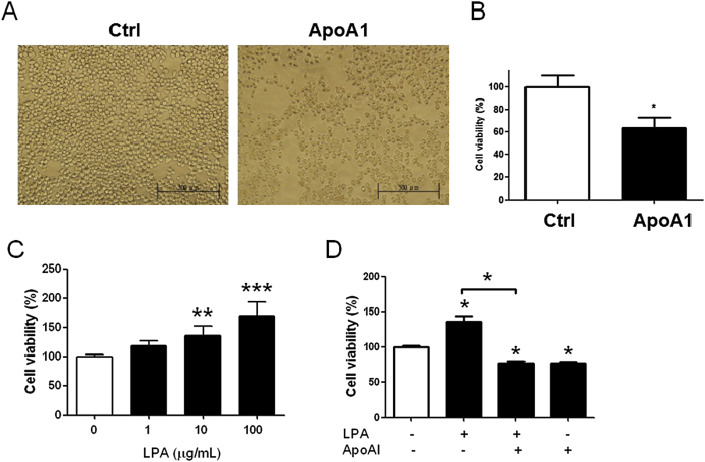 Apolipoprotein A1 (ApoA1) in vitro reduced the cell proliferation of MKN45 cells ...